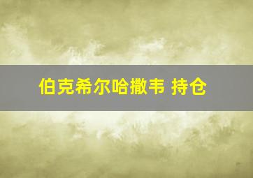 伯克希尔哈撒韦 持仓